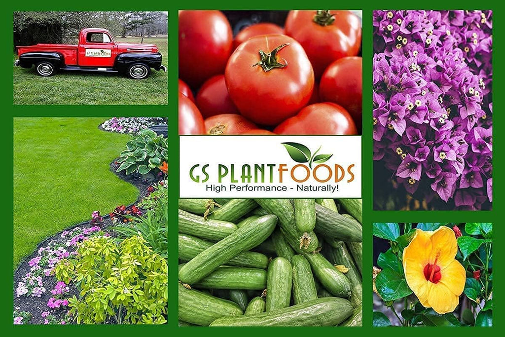 Superfection Emergency First Aid for Plants