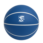 Color Splash QT BNZ Basketball