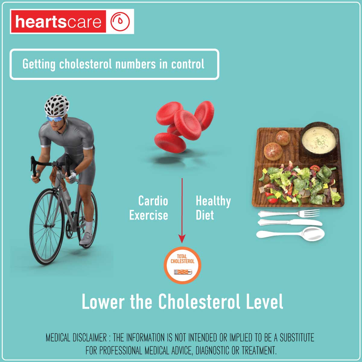 HeartsCare C1 Plus Total Cholesterol Meter Test Kit at Home with 10 strips