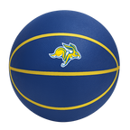 Color Splash QT BNZ Basketball