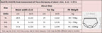 XL-3XL Big Size Women Lace Panties Summer Transparent Hollow Briefs Female  Lingerie Sexy Underwear Breathable Underpants New