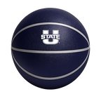 Color Splash QT BNZ Basketball