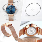 Women's Mesh Strap Watch Slim Quartz Date Luminous Steel